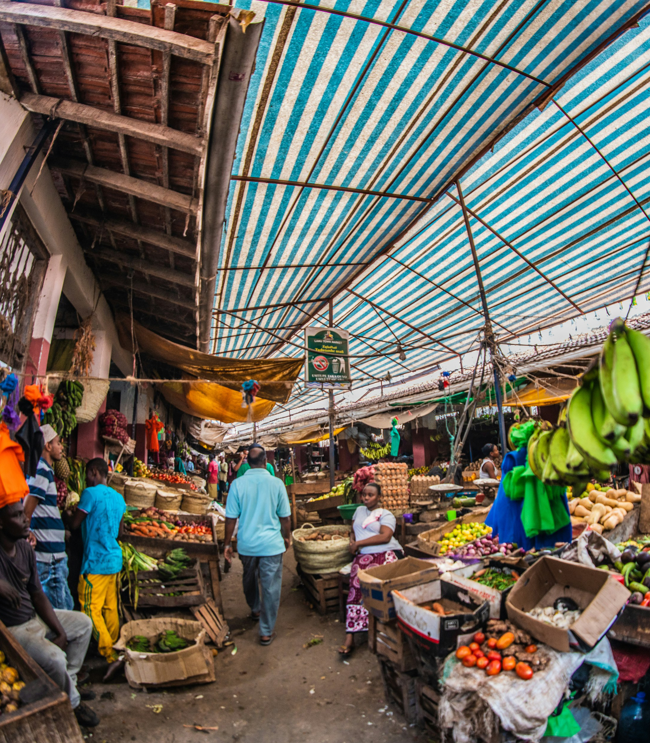 african-safari-car-image